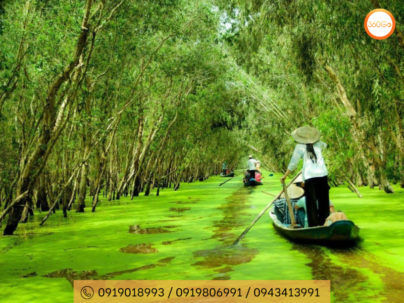 Hệ thực vật chủ yếu ở đây là cây tràm - Du lịch 360Go 
